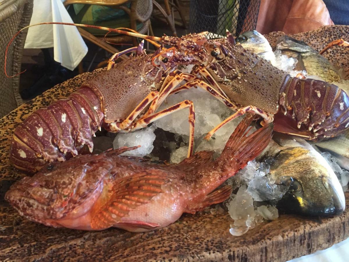 Hotel Le Porquerollais Porquerolles Ngoại thất bức ảnh